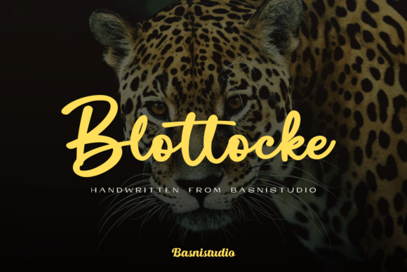 Download Blottocke - Premium Resources