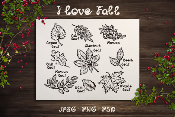 Download 9 Hand-sketched Fall Leaves - Premium Bundle