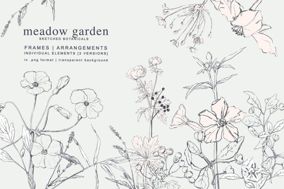 Download Pencil Sketched Botanicals Set - Premium Resources